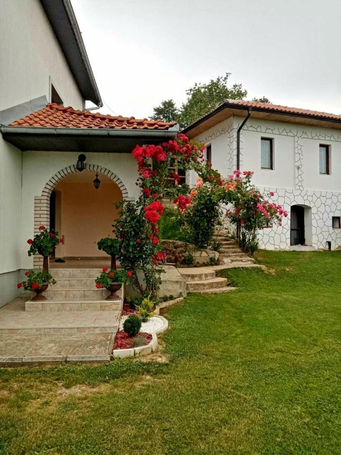 Domacinstvo Sindelic Hotel Иваница Екстериор снимка