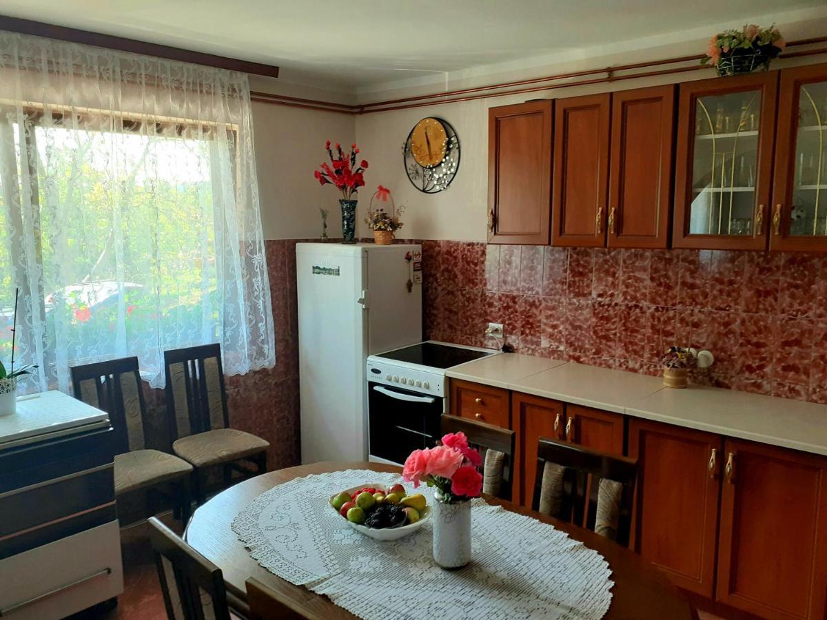 Domacinstvo Sindelic Hotel Иваница Екстериор снимка